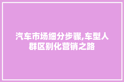 汽车市场细分步骤,车型人群区别化营销之路