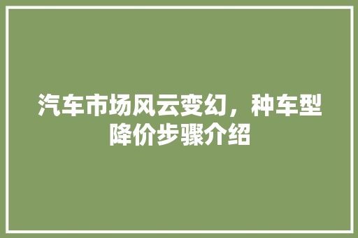 汽车市场风云变幻，种车型降价步骤介绍