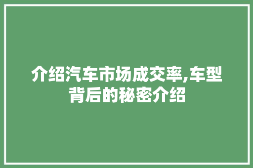 介绍汽车市场成交率,车型背后的秘密介绍