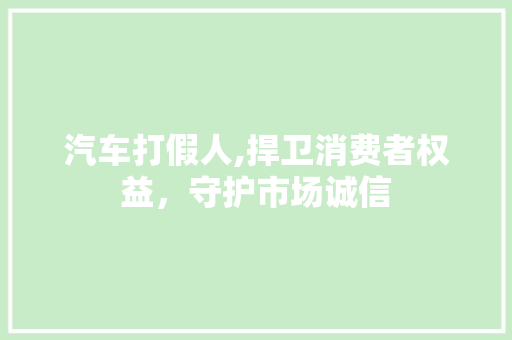 汽车打假人,捍卫消费者权益，守护市场诚信