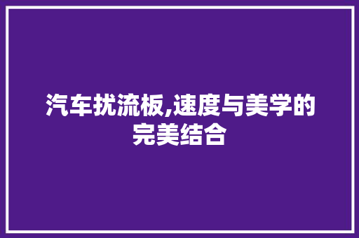 汽车扰流板,速度与美学的完美结合