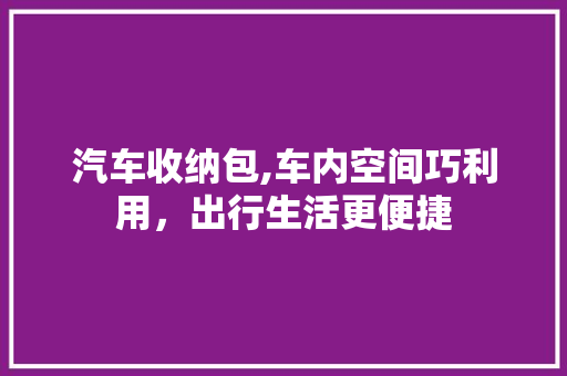 汽车收纳包,车内空间巧利用，出行生活更便捷