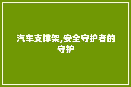 汽车支撑架,安全守护者的守护