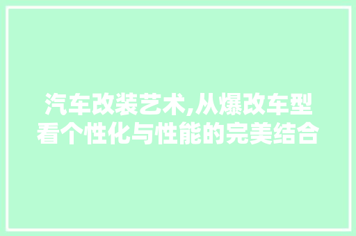 汽车改装艺术,从爆改车型看个性化与性能的完美结合