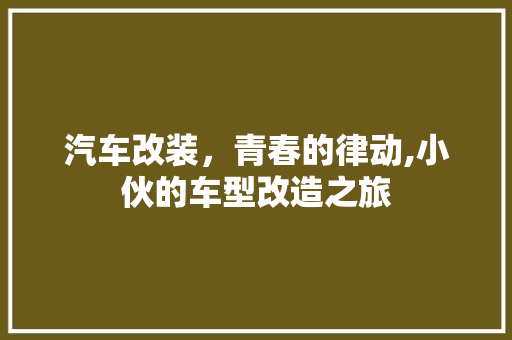 汽车改装，青春的律动,小伙的车型改造之旅