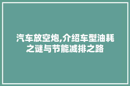 汽车放空炮,介绍车型油耗之谜与节能减排之路