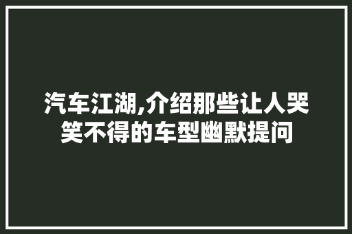 汽车江湖,介绍那些让人哭笑不得的车型幽默提问