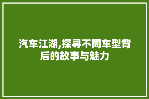 汽车江湖,探寻不同车型背后的故事与魅力