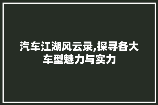汽车江湖风云录,探寻各大车型魅力与实力