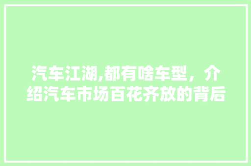 汽车江湖,都有啥车型，介绍汽车市场百花齐放的背后