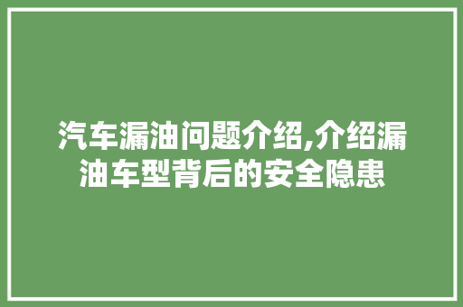 汽车漏油问题介绍,介绍漏油车型背后的安全隐患