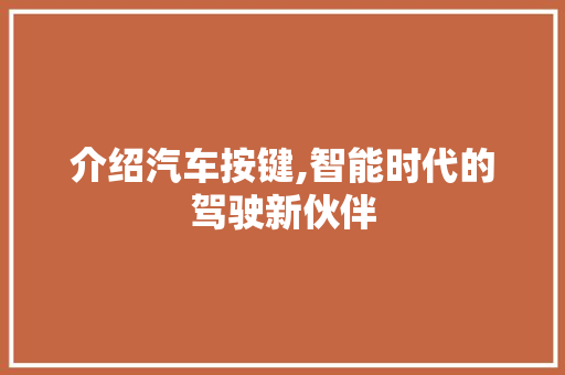 介绍汽车按键,智能时代的驾驶新伙伴