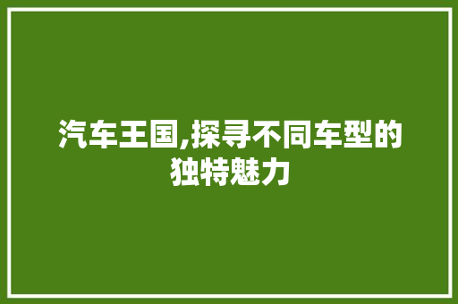 汽车王国,探寻不同车型的独特魅力 新能源汽车