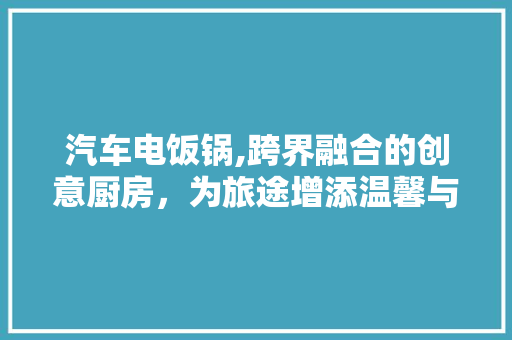 汽车电饭锅,跨界融合的创意厨房，为旅途增添温馨与美味