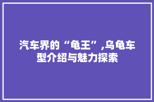 汽车界的“龟王”,乌龟车型介绍与魅力探索