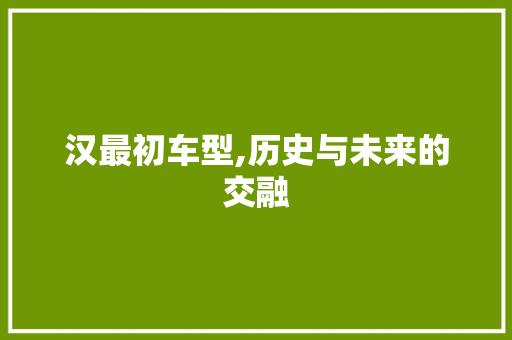 汉最初车型,历史与未来的交融