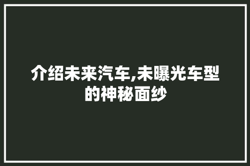 介绍未来汽车,未曝光车型的神秘面纱