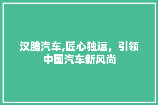 汉腾汽车,匠心独运，引领中国汽车新风尚