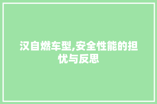 汉自燃车型,安全性能的担忧与反思