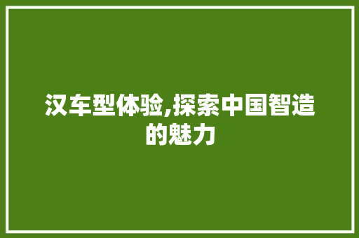 汉车型体验,探索中国智造的魅力
