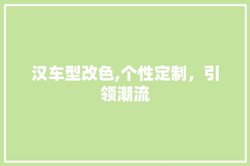 汉车型改色,个性定制，引领潮流