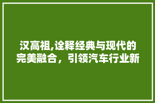 汉高祖,诠释经典与现代的完美融合，引领汽车行业新潮流