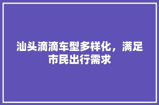 汕头滴滴车型多样化，满足市民出行需求 蓄电池配件