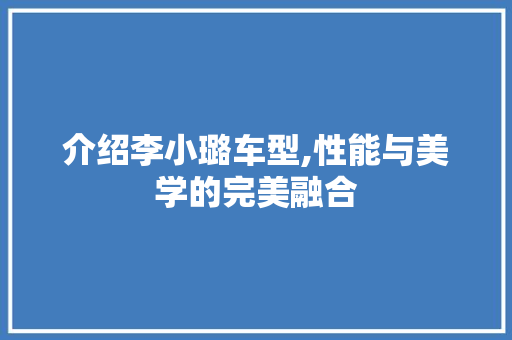 介绍李小璐车型,性能与美学的完美融合 车灯配件