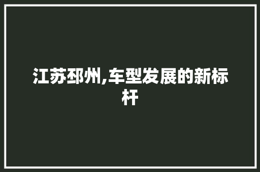 江苏邳州,车型发展的新标杆