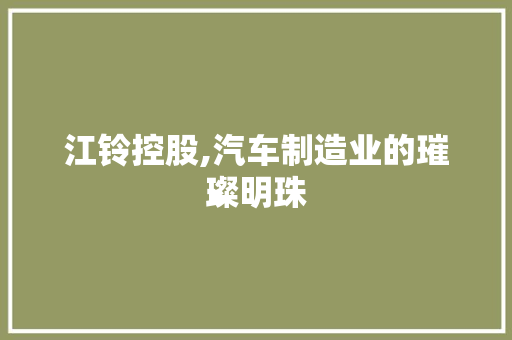 江铃控股,汽车制造业的璀璨明珠
