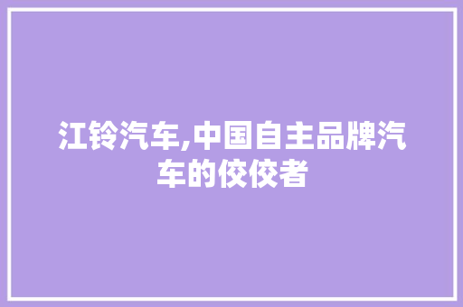 江铃汽车,中国自主品牌汽车的佼佼者