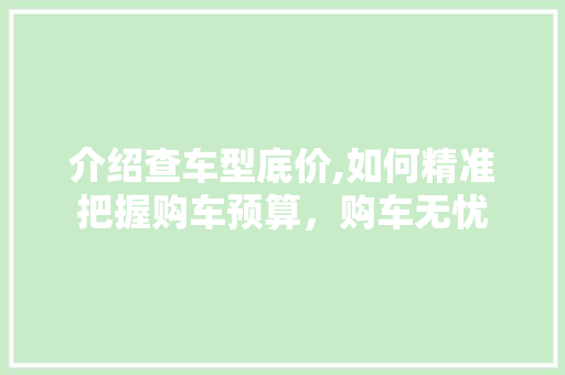 介绍查车型底价,如何精准把握购车预算，购车无忧