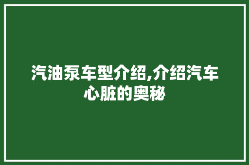 汽油泵车型介绍,介绍汽车心脏的奥秘
