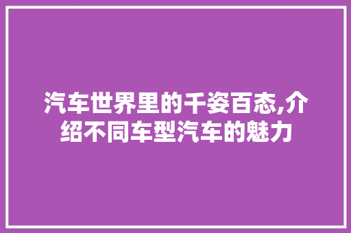 汽车世界里的千姿百态,介绍不同车型汽车的魅力
