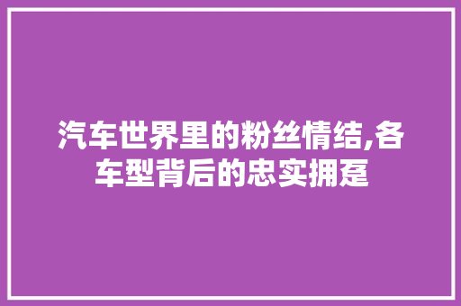 汽车世界里的粉丝情结,各车型背后的忠实拥趸