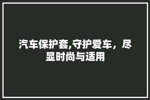 汽车保护套,守护爱车，尽显时尚与适用