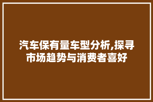 汽车保有量车型分析,探寻市场趋势与消费者喜好