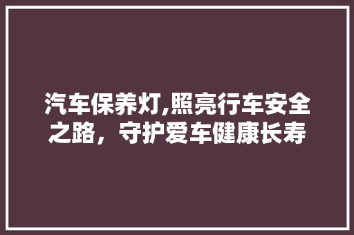 汽车保养灯,照亮行车安全之路，守护爱车健康长寿