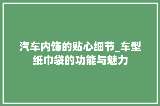 汽车内饰的贴心细节_车型纸巾袋的功能与魅力