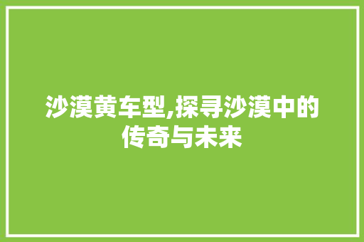 沙漠黄车型,探寻沙漠中的传奇与未来