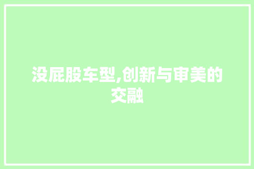 没屁股车型,创新与审美的交融