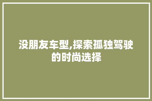 没朋友车型,探索孤独驾驶的时尚选择