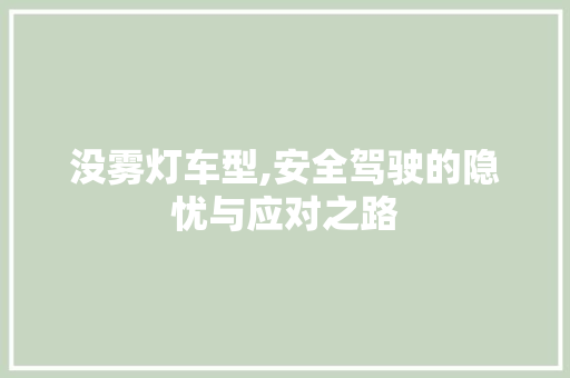 没雾灯车型,安全驾驶的隐忧与应对之路