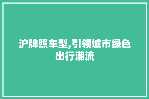 沪牌照车型,引领城市绿色出行潮流