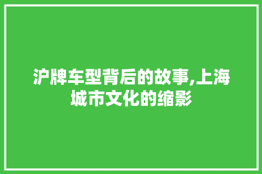 沪牌车型背后的故事,上海城市文化的缩影
