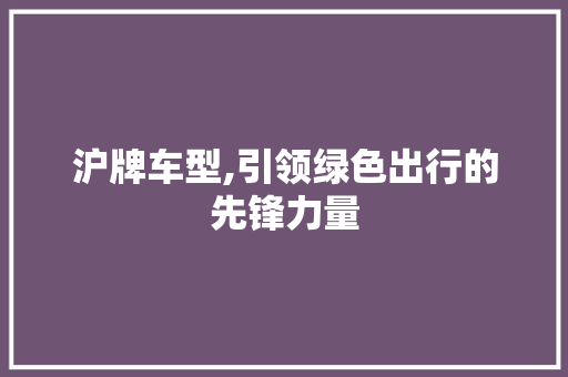 沪牌车型,引领绿色出行的先锋力量
