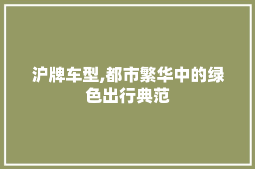 沪牌车型,都市繁华中的绿色出行典范
