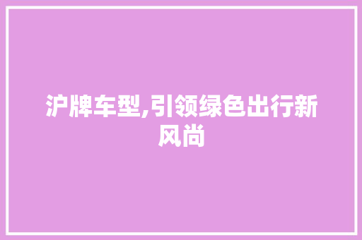 沪牌车型,引领绿色出行新风尚
