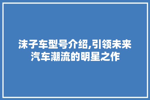 沫子车型号介绍,引领未来汽车潮流的明星之作
