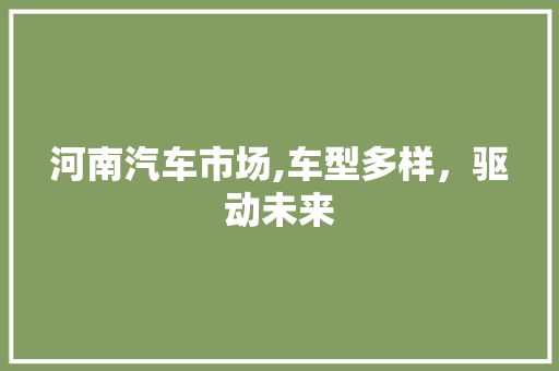 河南汽车市场,车型多样，驱动未来